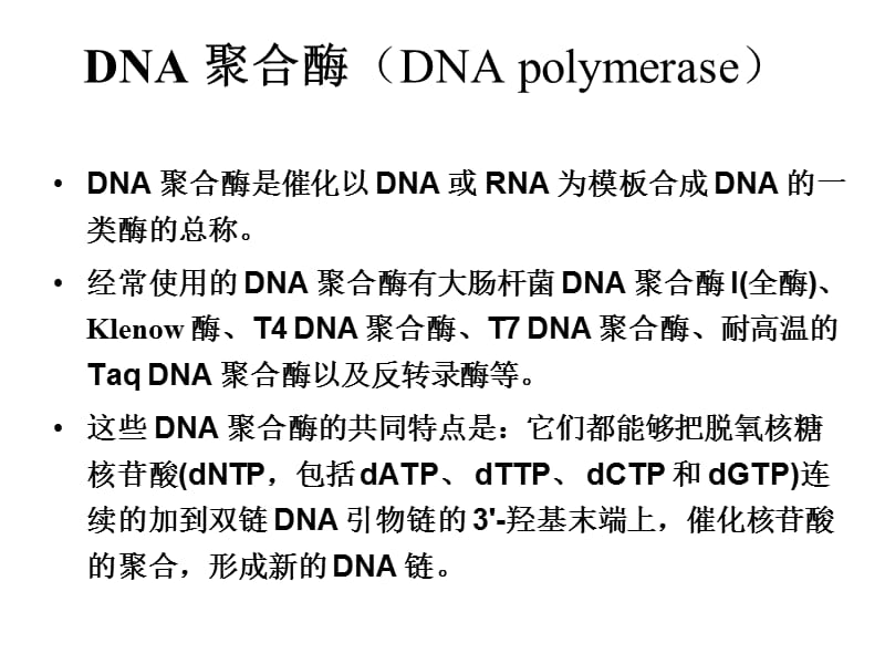 第二节其他重要工具酶.ppt_第2页