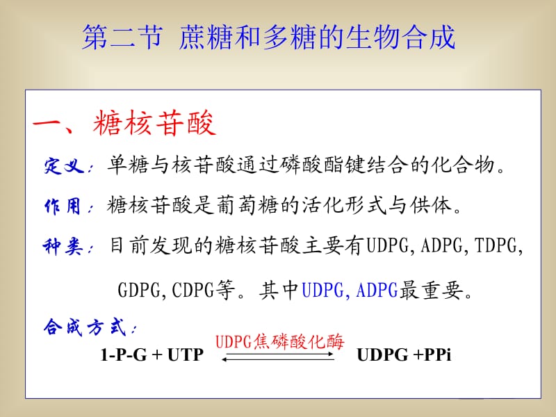 糖的生物合成-2.ppt_第1页