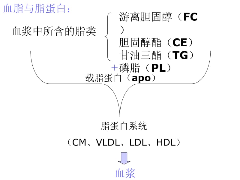 第22章调血脂药与抗动脉粥样硬化药.ppt_第2页