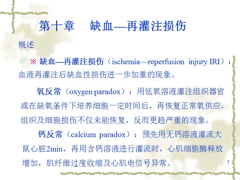 氧反常oxygenparadox用低氧溶液灌注组织器官或在缺.ppt_第1页