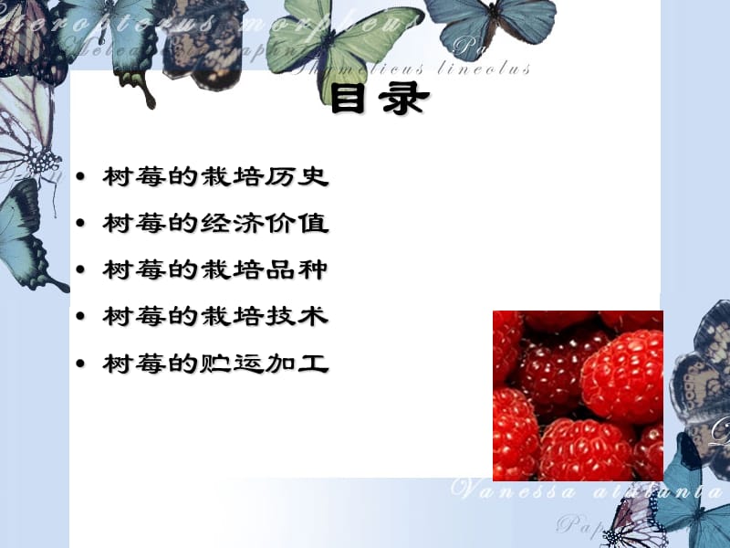 经纪人网系列课件树莓丰产栽培技术.ppt_第2页