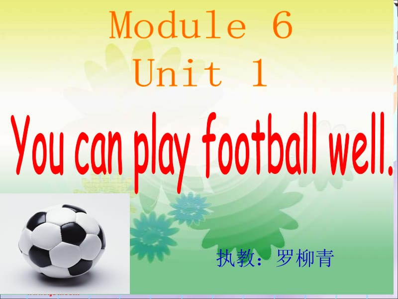 (罗柳青定稿)Unit1《You11_can_play_football_well》课件.ppt_第1页