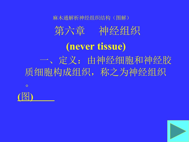 麻木通解析神经组织结构图解.ppt_第1页