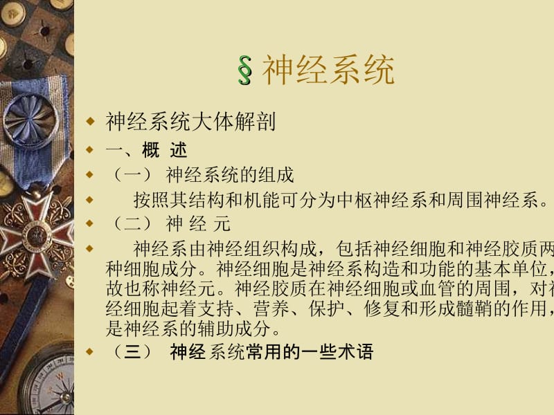 神经系统课件.ppt_第1页