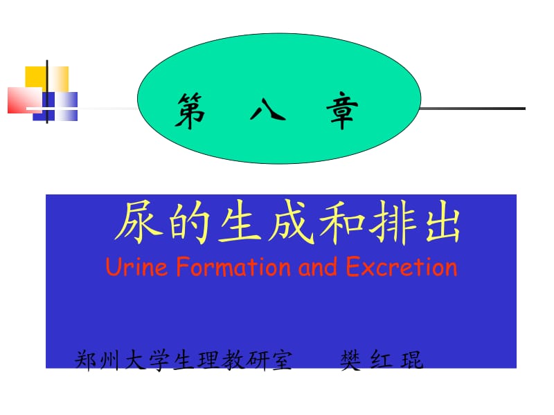 第八章尿的生成和排出.ppt_第1页