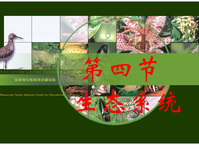 第四节生态系统.ppt_第1页