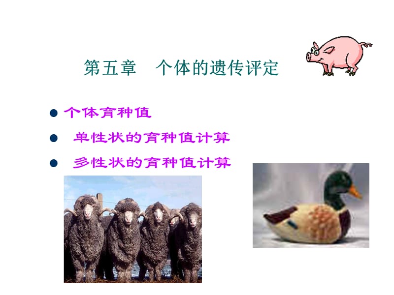 第五章个体的遗传评定.ppt_第1页