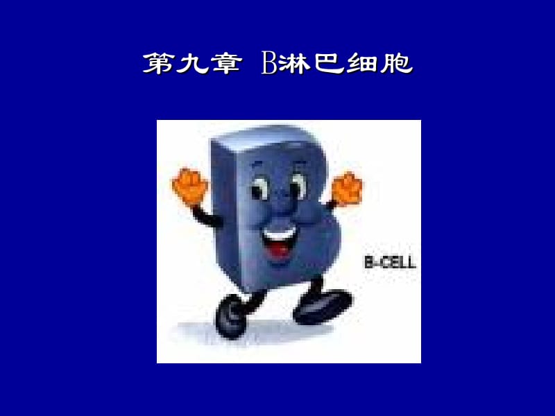 第九章B淋巴细胞.ppt_第1页