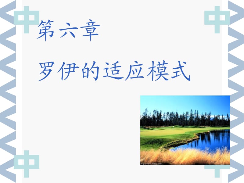 罗伊的适应模式.ppt_第1页