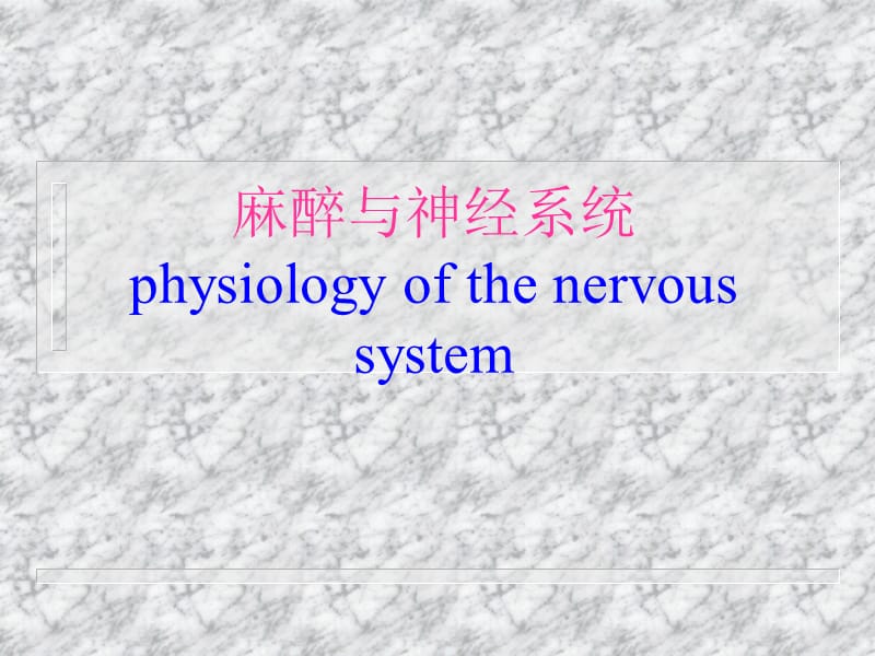 麻醉与神经系统.ppt_第1页