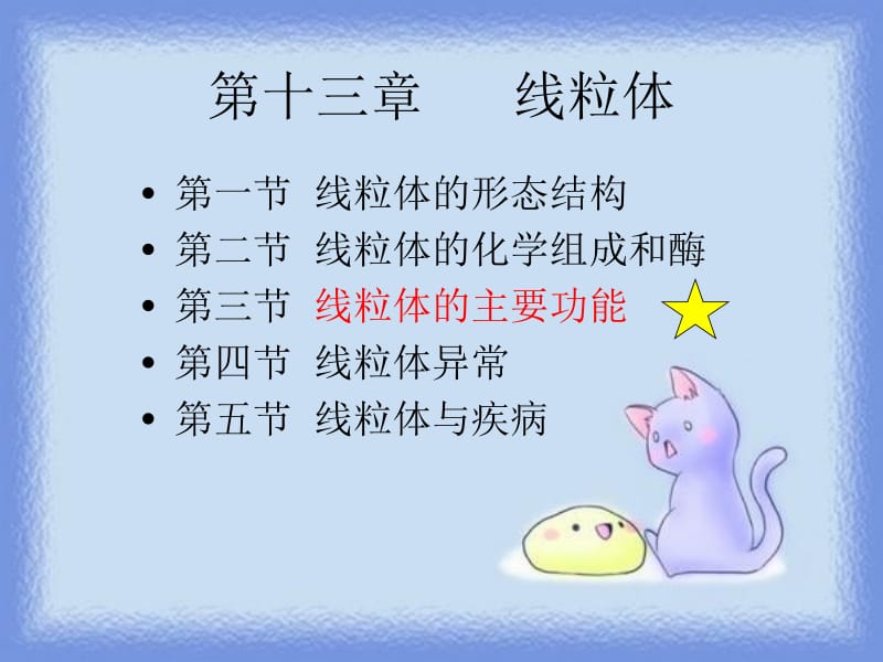 第十三章线粒体管倩楠.ppt_第2页