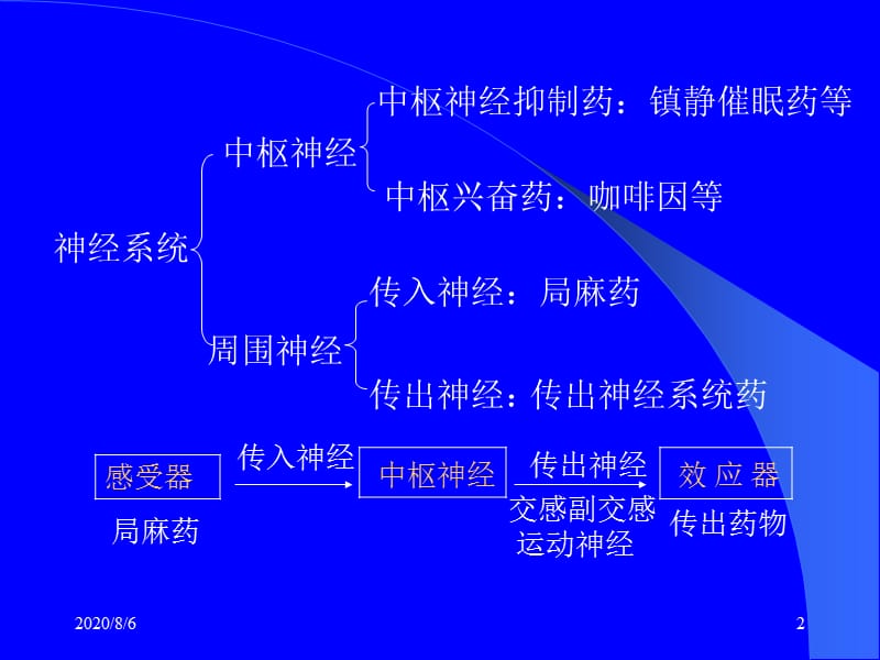 第5章传出神经系统概论.ppt_第2页