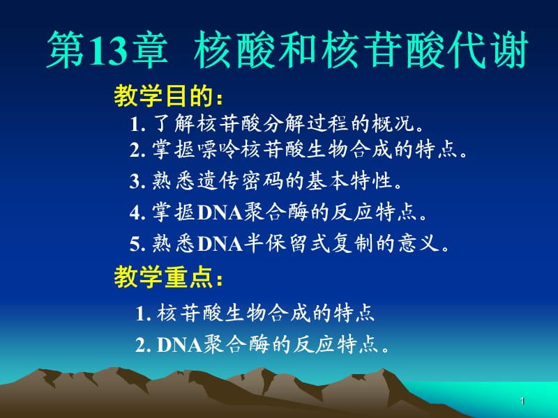 第13章核酸和核苷酸代谢.ppt_第1页