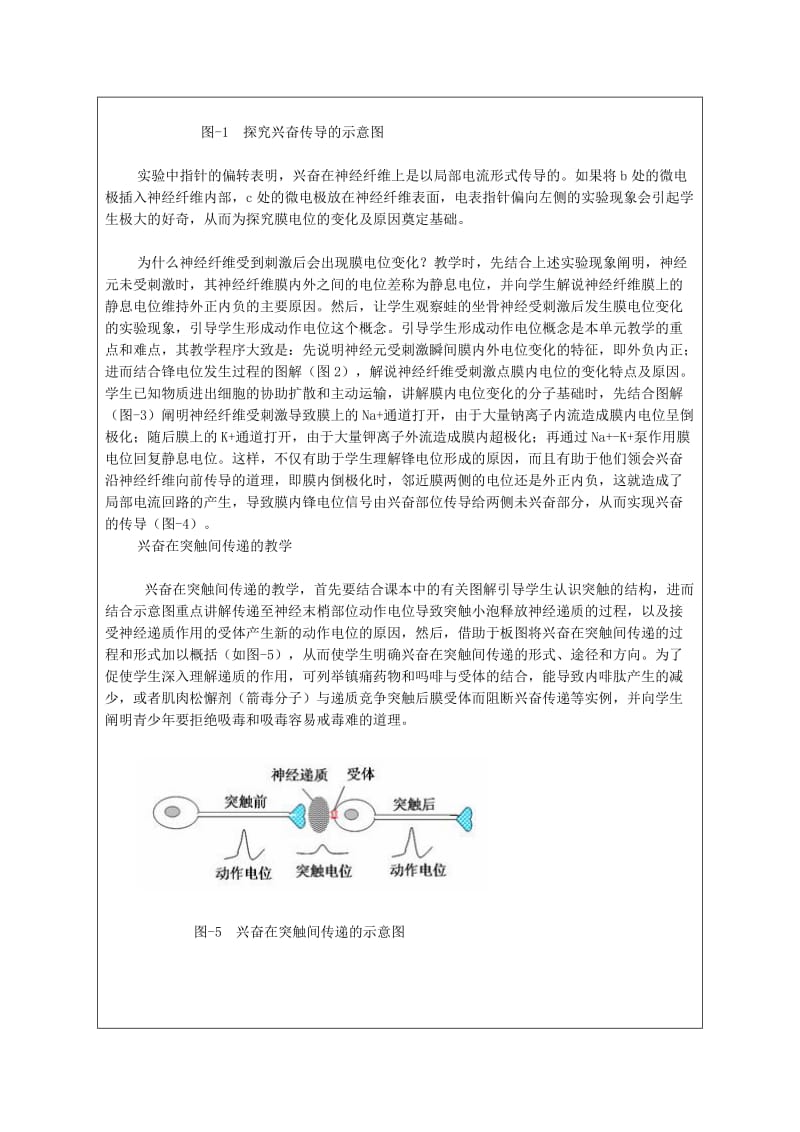 2.2.1人体神经调节的结构基础和调节过程_20121016072612712.doc_第2页