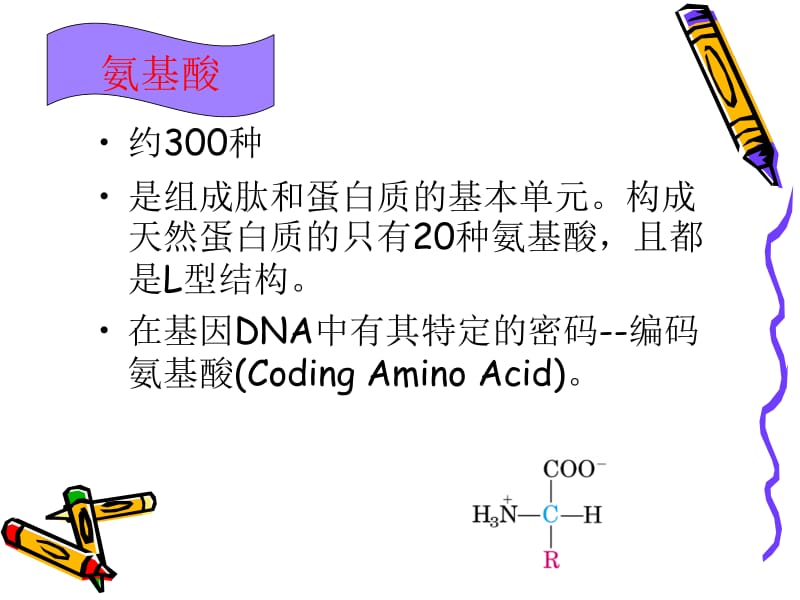 第二章氨基酸2.ppt_第2页