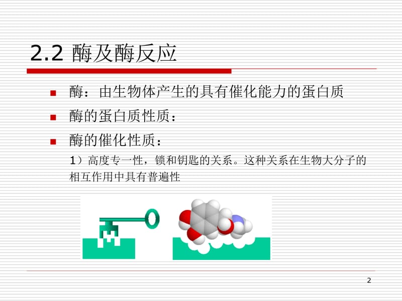 第二章分子识别元件及其反应基础.ppt_第2页