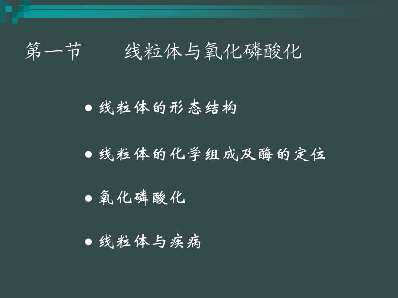 细胞生物学第06章线粒体.ppt_第2页