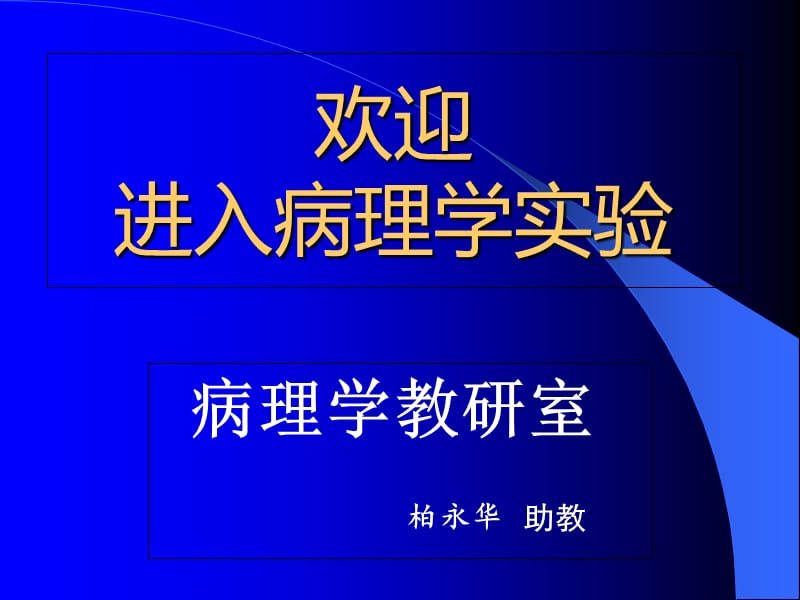 a第一次实验血液循环障碍.ppt_第1页