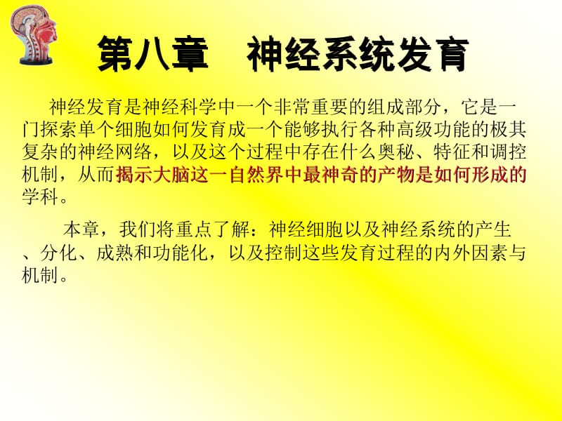 第八章神经系统发育.ppt_第1页