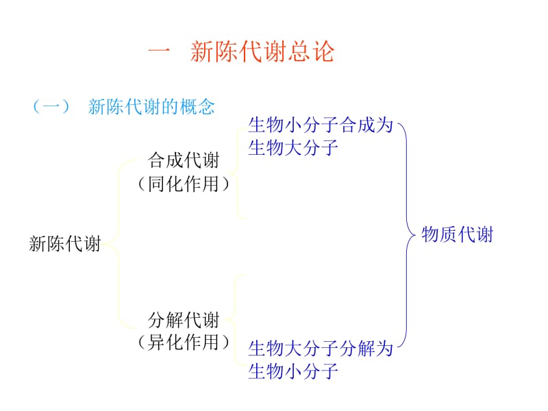 第八章新陈代谢总论与生物氧化.ppt_第2页