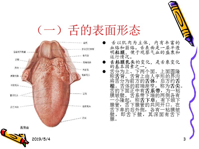 舌诊.ppt_第3页