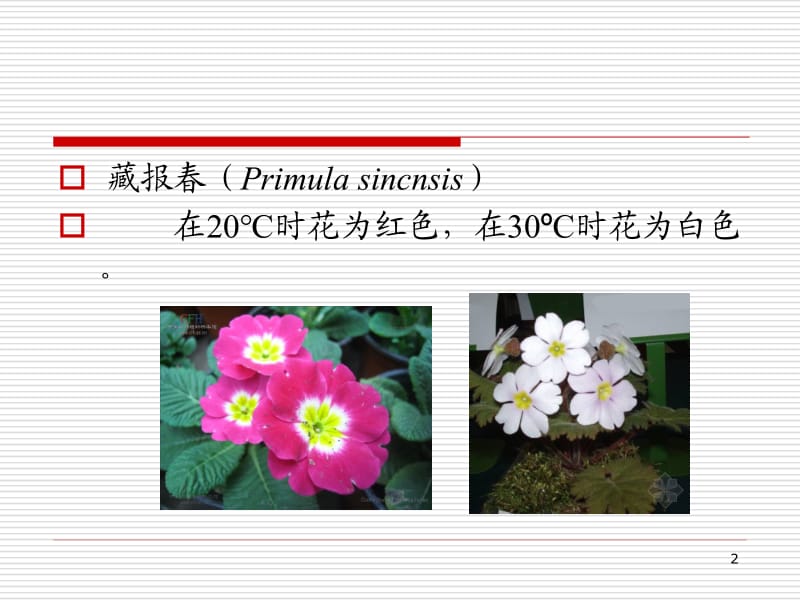 第三课：孟德尔法则的扩展.ppt_第2页