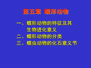 第五章蠕形动物.ppt