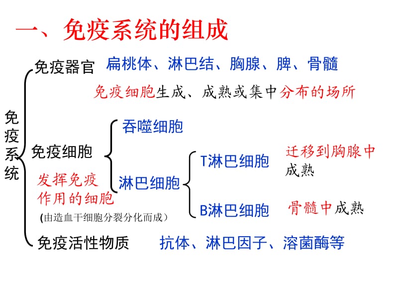 第四节免疫调节w.ppt_第2页