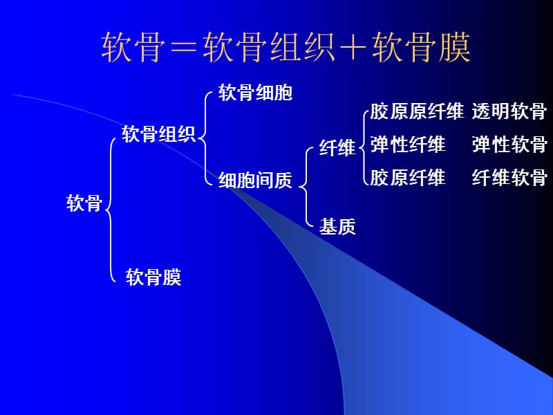 组织与胚胎03软骨.ppt_第2页