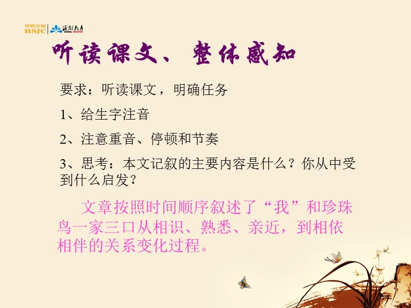 珍珠鸟.ppt_第3页