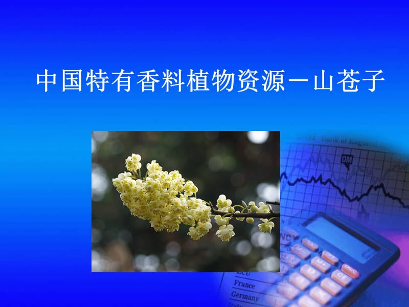 中国特有香料植物资源山苍子.ppt_第1页