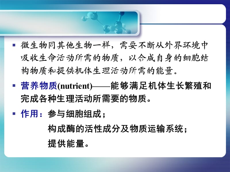 第四章-营养1.ppt_第2页