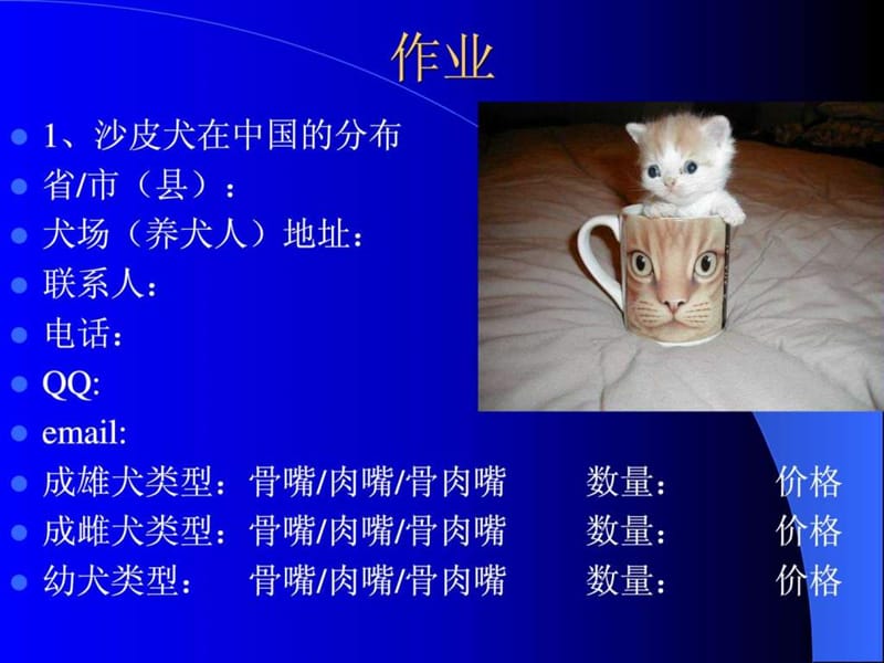 养猫学第二章 猫的品种.ppt_第1页