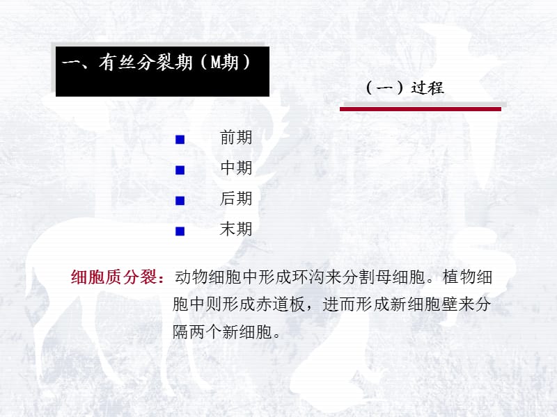 细胞和生物大分子4.ppt_第2页