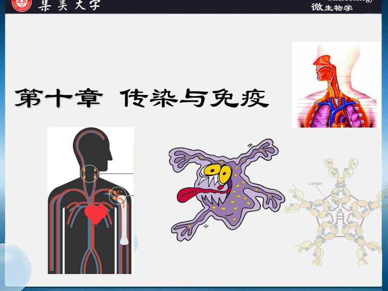 《传染与免疫》PPT课件.ppt_第1页