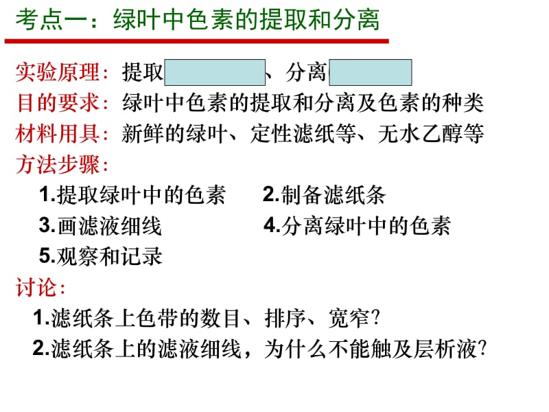 高一生物必修1_能量之源光与光合作用_课件.ppt_第2页