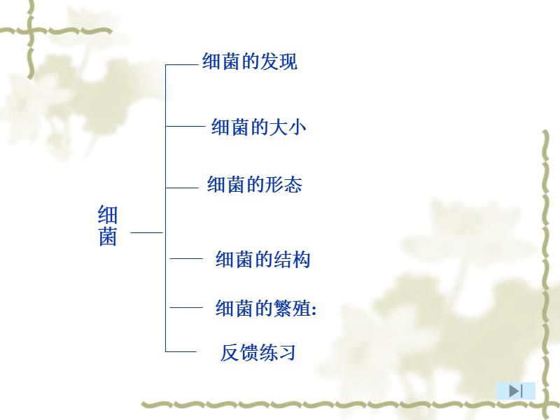 长春市七十八中学王芬.ppt_第2页