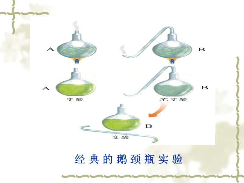 长春市七十八中学王芬.ppt_第3页