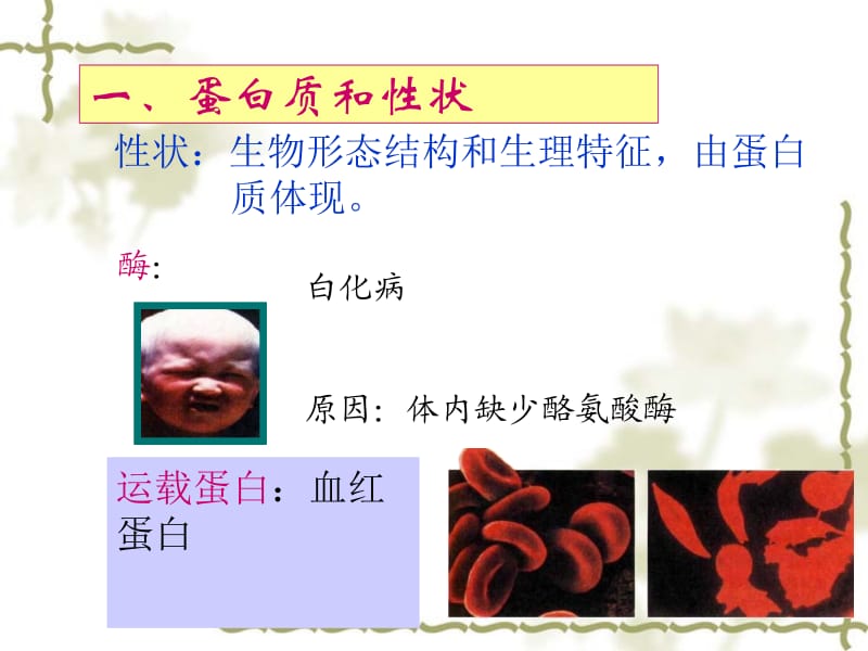 高中生物转录与翻译gong.ppt_第2页