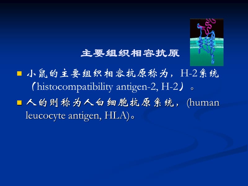 计算机应用课件学习.ppt_第2页