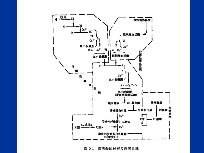 制作liying.ppt_第3页