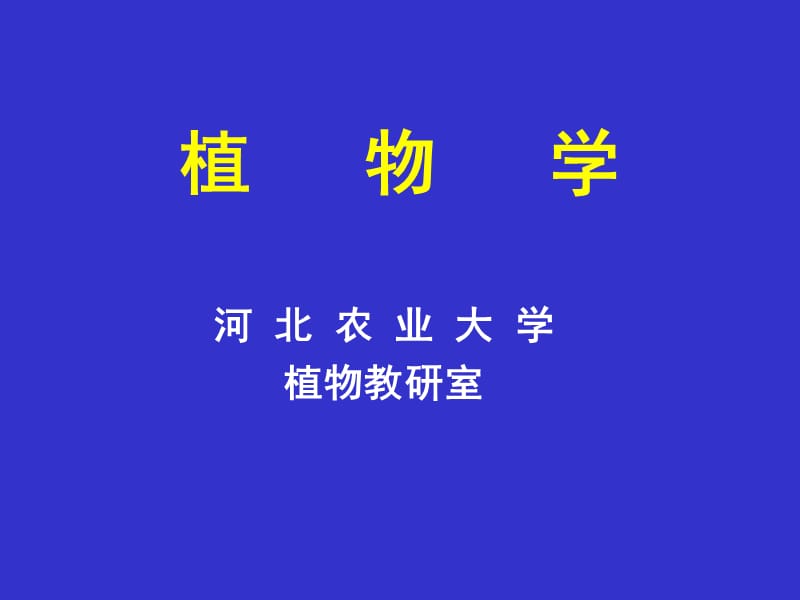 植物学.ppt_第1页