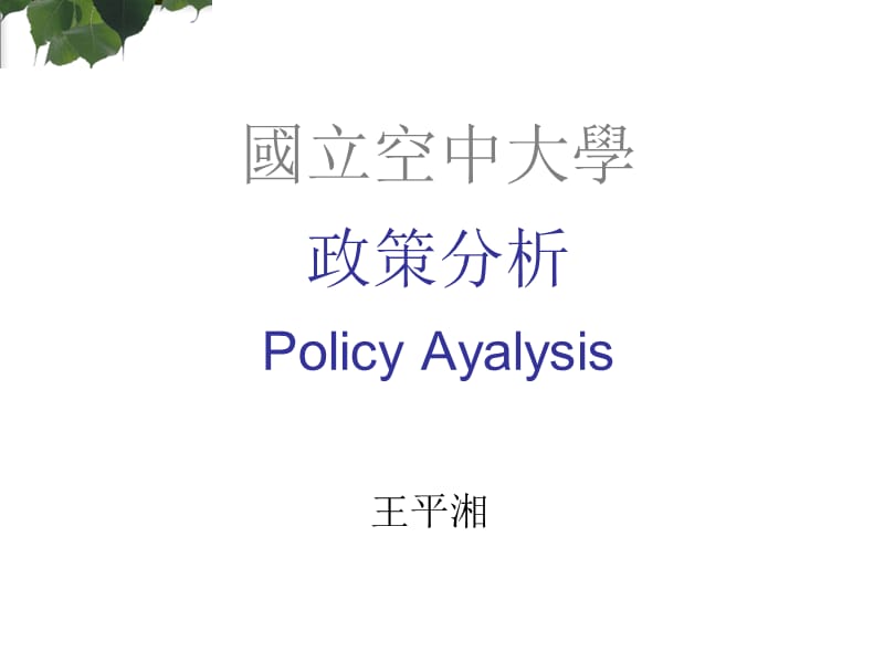 政策分析.ppt_第1页