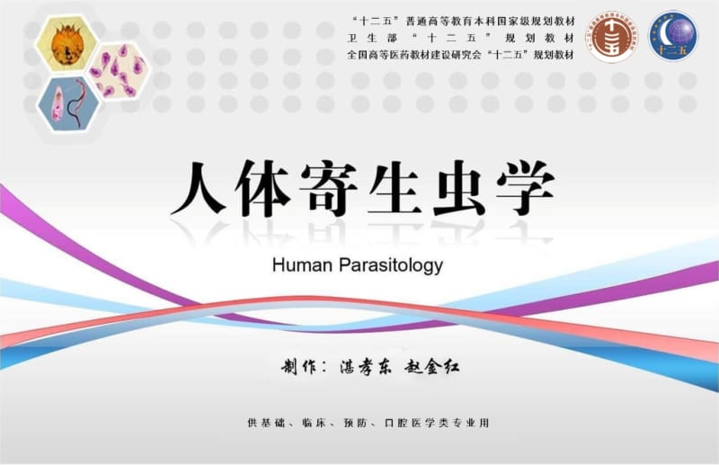 致病性自生生活阿米巴.ppt_第2页