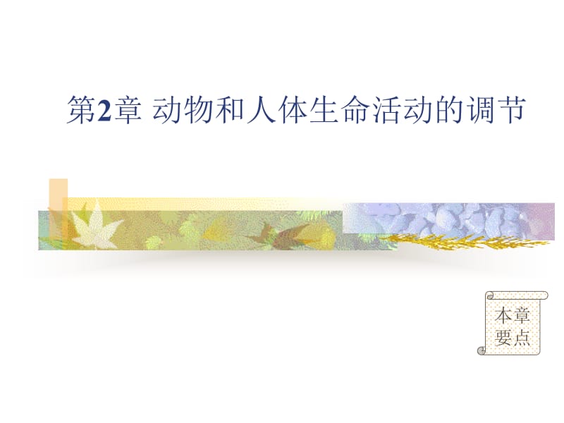 通过神经系统的调节2.ppt_第1页