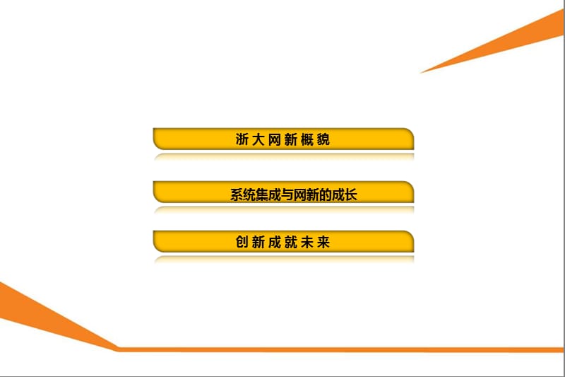 浙大网新科技股份有限公司.ppt_第2页