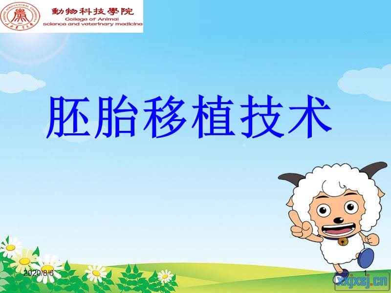 胚胎移植课件.ppt_第1页