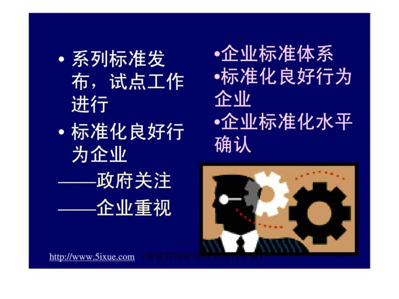 《企业标准体系》PPT课件.ppt_第3页