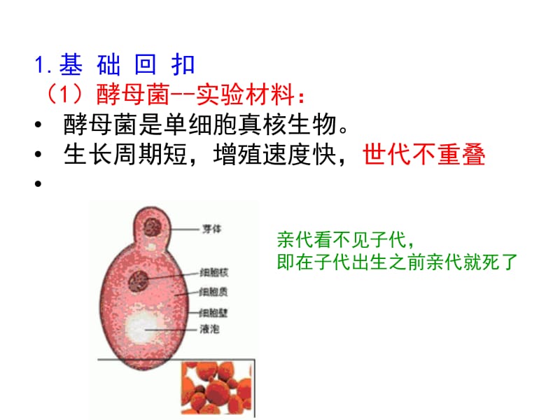 课本P68探究培养液中酵母菌种群数量的动态变化49589887220.ppt_第2页