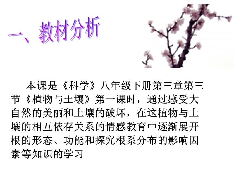 植物与土壤说课.ppt_第2页